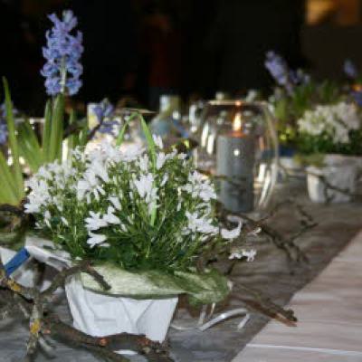 Db Img 57951